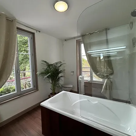 Maison Bourgeoise 1830 Avec Et Jeux, Animaux Acceptes - Fr-1-489-541 別荘